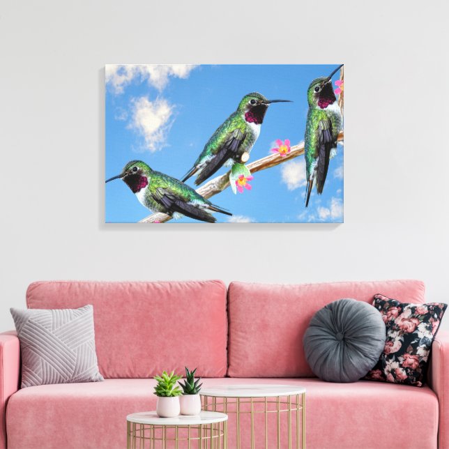 Toile Trois colibris perchés sur une branche d'une fleur (Insitu(Salon))