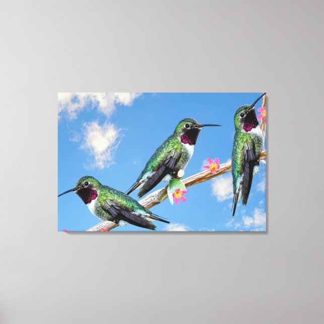 Toile Trois colibris perchés sur une branche d'une fleur (Recto)