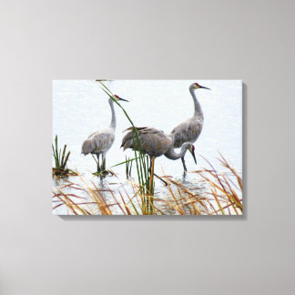 Toile Trois Grues Sandhill