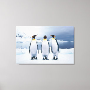 Toile Trois le Roi pingouins