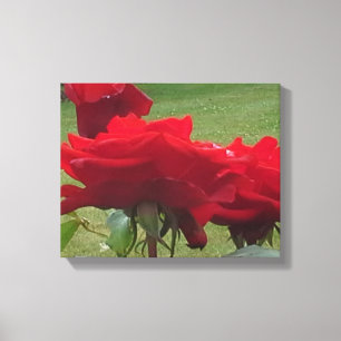 TOILE TROIS ROSES ROUGES
