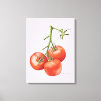 Trois tomates sur la vigne 1997