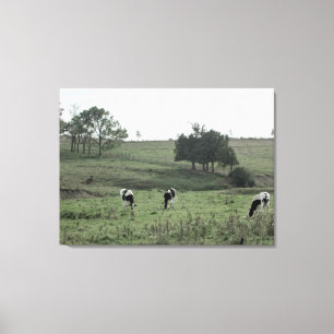 Toile Trois vaches dans un champ photo art mur