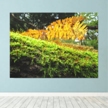 Tronc d'arbre dans une mousse luxuriante -