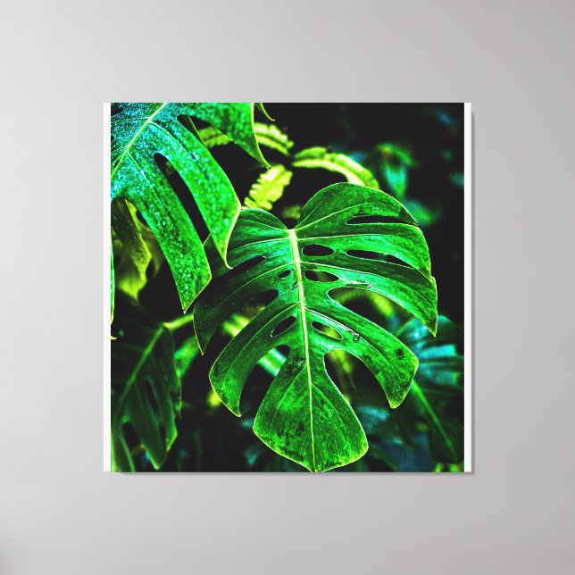 Toile Tropical Monstera Glow – Jungle Leaf Photography (Recto)