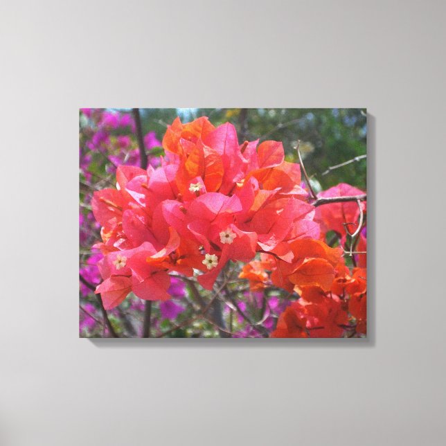 Toile Tropical Pink Bougainvillea Island Floral (Recto)
