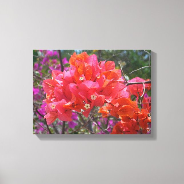 Toile Tropical Pink Bougainvillea Island Floral (Recto)