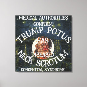 TOILE TRUMP CONFIRMÉ A UN SYNDROME DE SCROTUME DE COUCHE