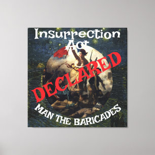 Toile Trump interdit la fornication adultère aux États b