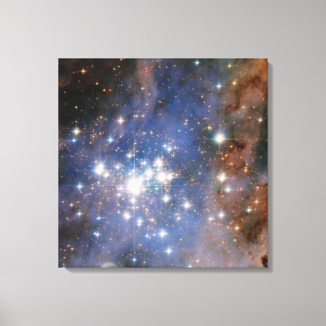 Toile Trumpler Star Cluster 14. (Recto)