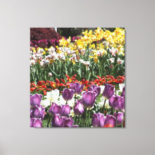 Toile Tulip Garden Wrapper Canvas Imprimer