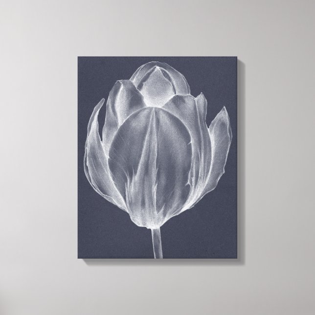 Toile Tulipe monochrome I (Recto)