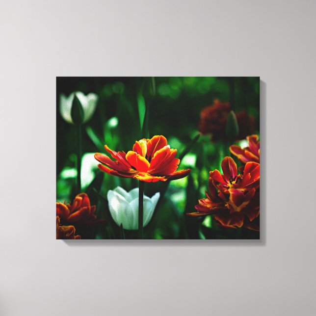 Toile Tulipe rouge - Sa Majesté le roi (Recto)