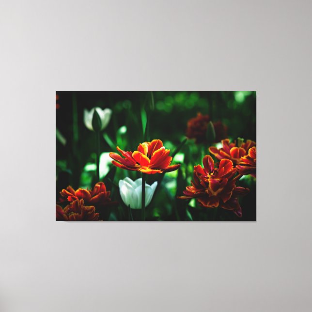 Toile Tulipe rouge - Sa Majesté le roi (Recto)