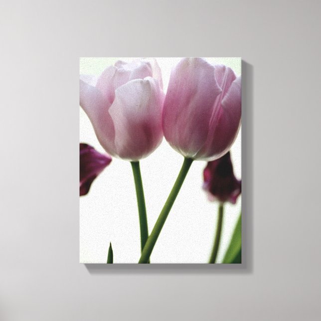 Toile Tulipes 3259 (Recto)