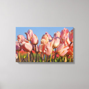 Toile Tulipes à ressort rose