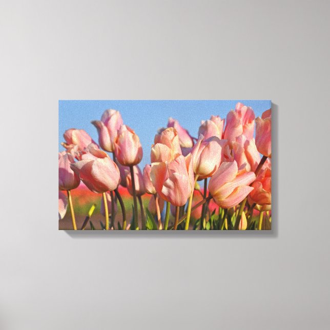 Toile Tulipes à ressort rose (Recto)