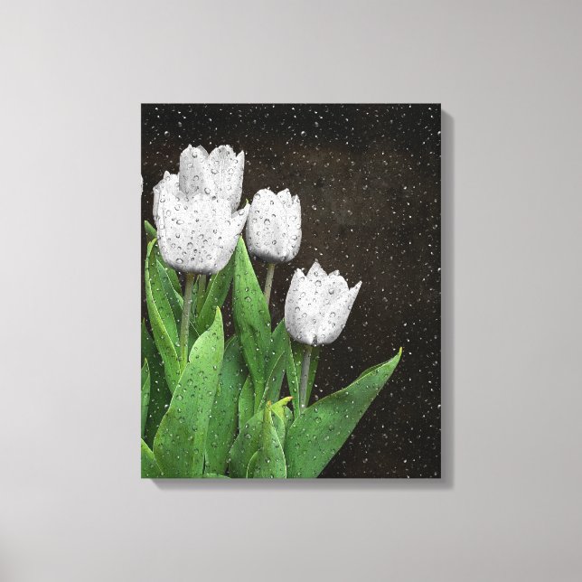 Toile Tulipes blanches avec Raindrops (Recto)
