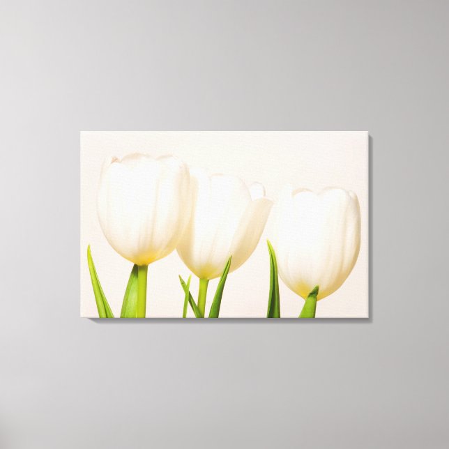 Toile Tulipes blanches sur fond blanc, (Recto)