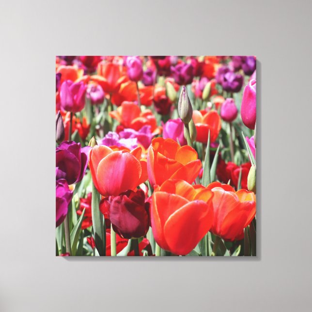 Toile Tulipes chaudes tombées (Recto)