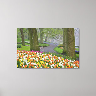 Toile Tulipes et route, Keukenhof Gardens, Lisse,