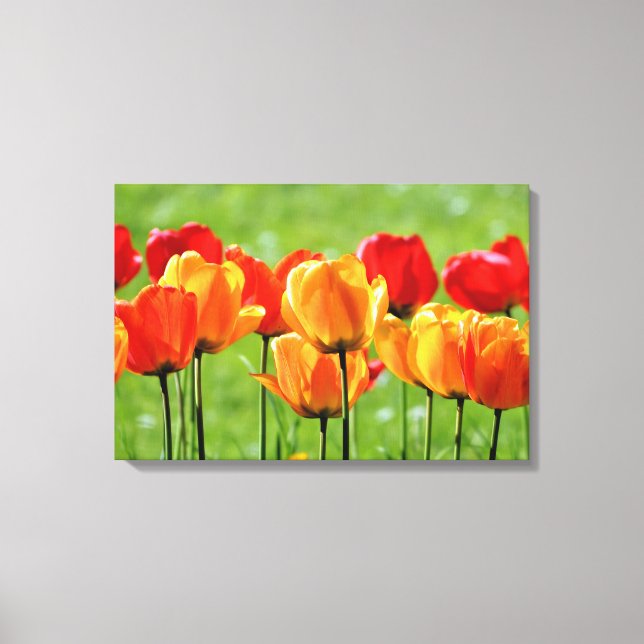 Toile Tulipes jaunes et rouges (Recto)