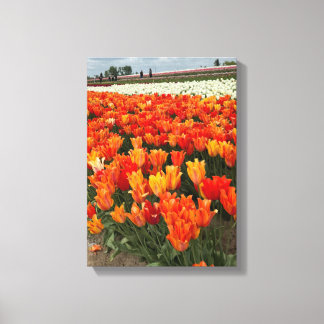 Toile Tulipes oranges dans le champ, Woodburn, OU
