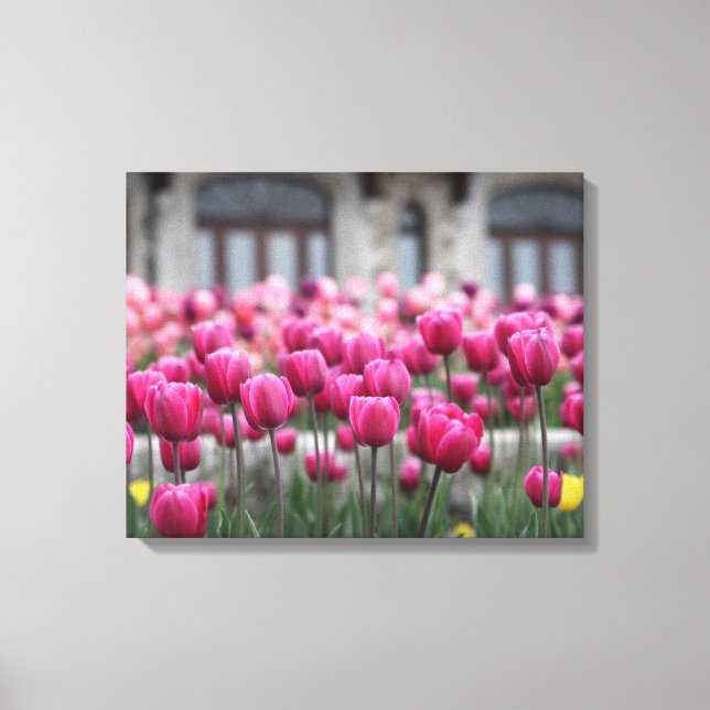 Toile Tulipes roses - Montréal (toile) (Recto)