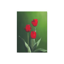 Tulipes rouges
