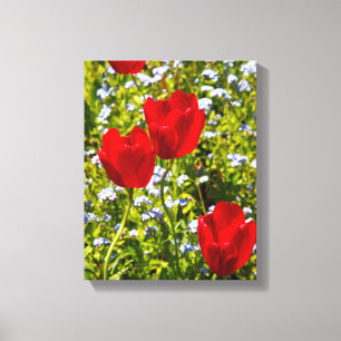 Toile Tulipes rouges dans le champ