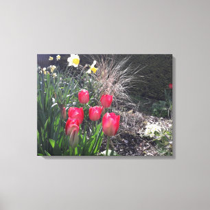 Toile Tulipes rouges dans le jardin