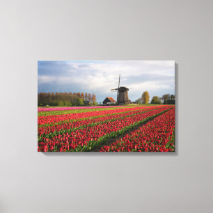 Toile Tulipes rouges et moulin à vent