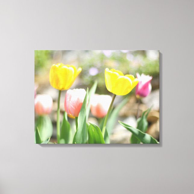 Toile Tulips de Pink et Yellow (Recto)