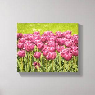 Toile Tulips Field Flower Photo