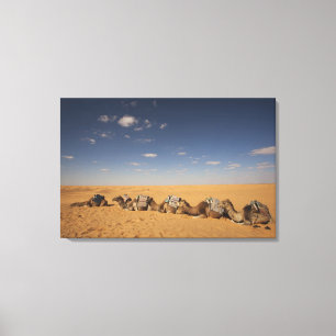 Toile Tunisie, Ksour Area, Ksar Ghilane, Grand Erg 4