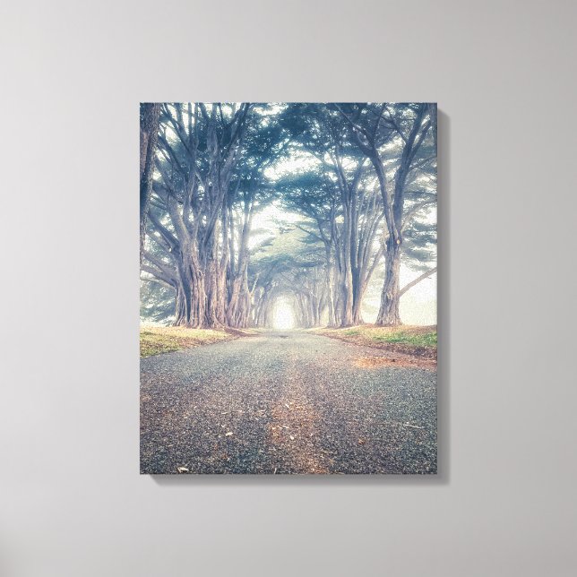 Toile Tunnel Cypress (Recto)