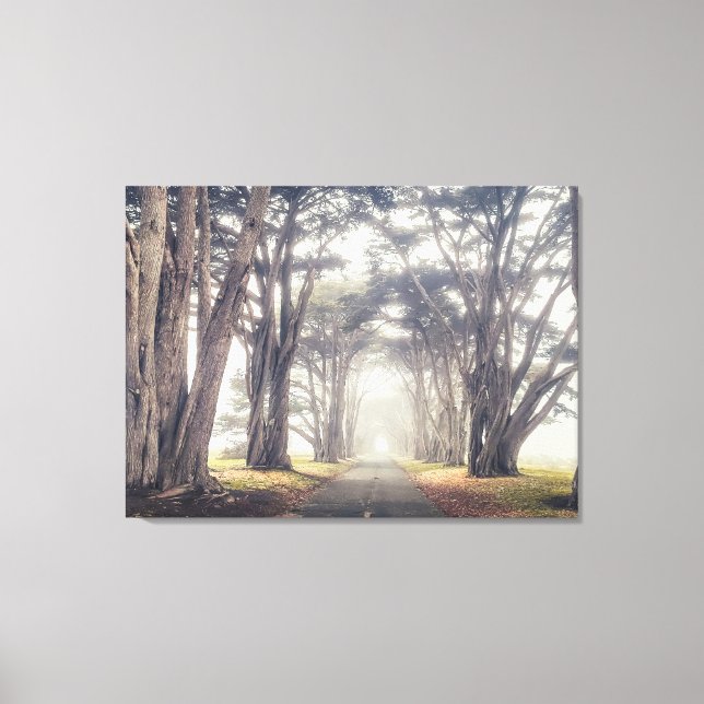 Toile Tunnel Cypress dans le brouillard (Recto)