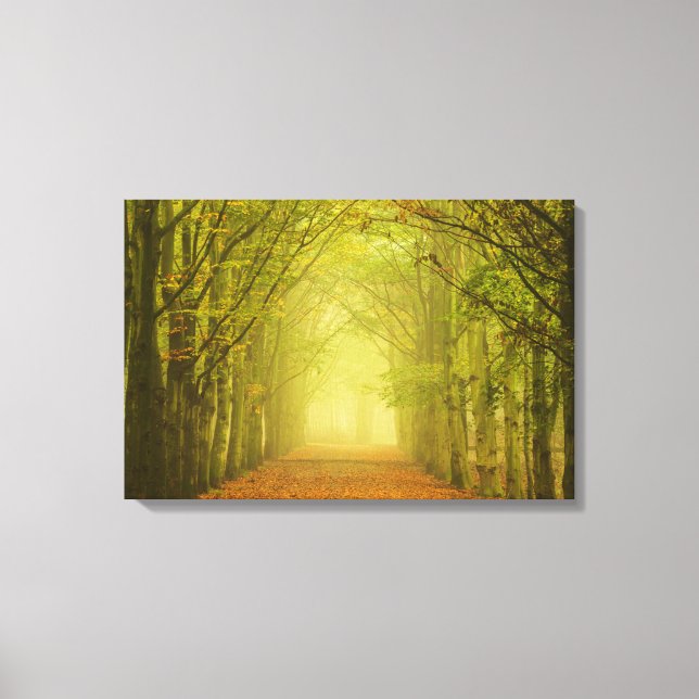 Toile Tunnel de lumière (Recto)