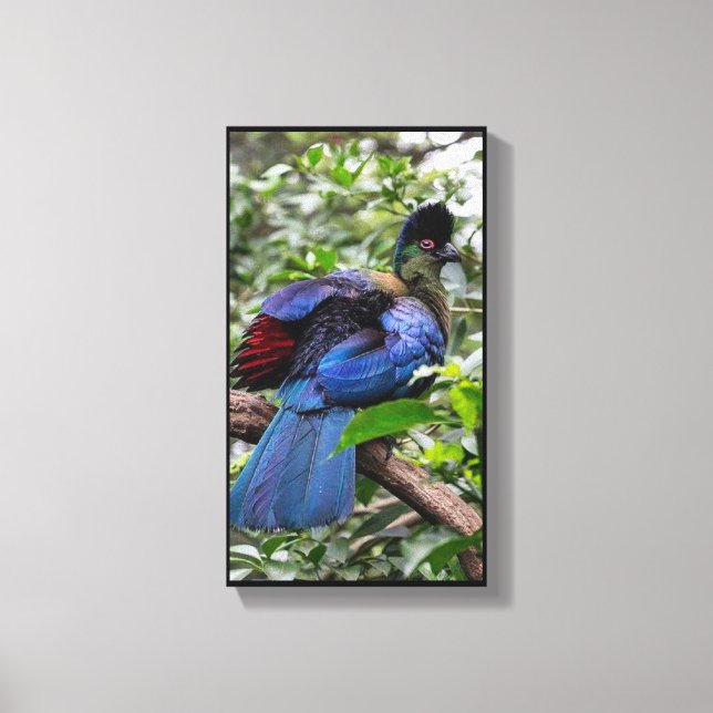 Toile Turaco Pourpre (Recto)