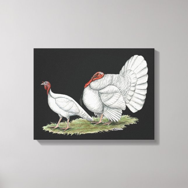 Toile Turkeys White Holland (Recto)