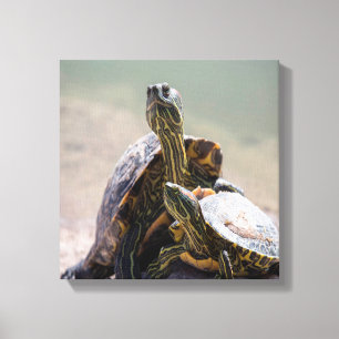 Toile Turtle Love