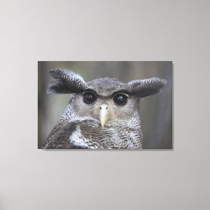 Toile Ueno, Taitoh-ku, Tokyo, Japon 3