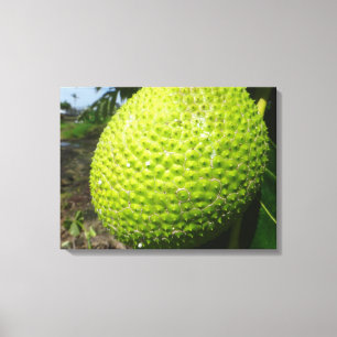 Toile Ulu ou fruits à pain