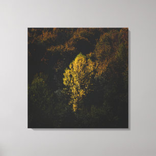 Toile Un arbre jaune qui se détache de la foule