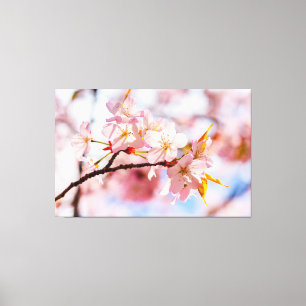Toile Un Beau Bouquet De Fleurs De Sakura Sur Fond Rose