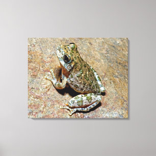 Toile Un canyon Treefrog
