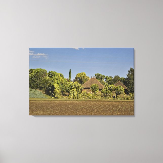 Toile Un champ cultivé devant des maisons à toit de chau (Recto)