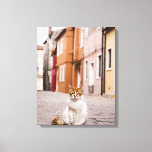 Toile Un chat dans les rues de Burano, Italie. 2006. (Recto)