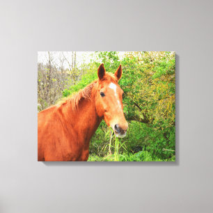 Toile Un cheval appelé animal Orion
