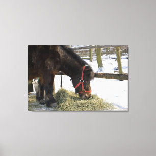 Toile Un cheval indigène à l'origine du Gotland où